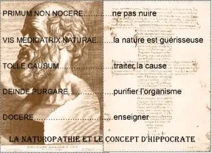 hippocrate_consignes