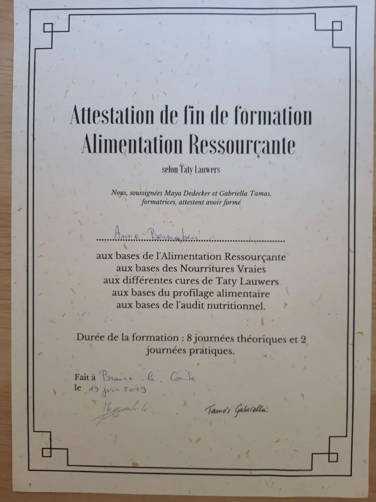 version_2000_alimentation_ressour_ante_diplome_anne_bernabeu_2019