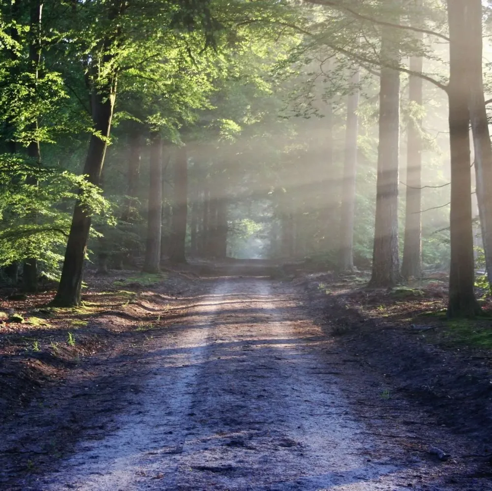 Naturopathe près de Marseille Périer