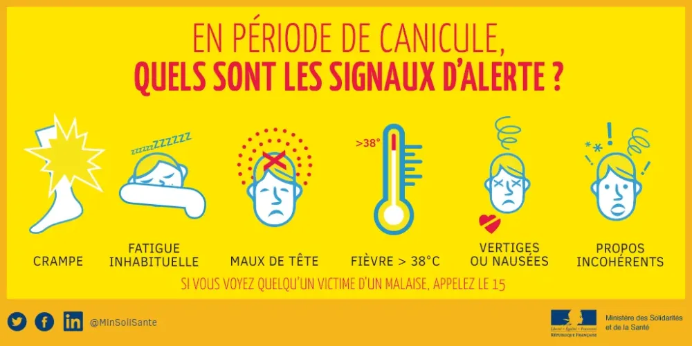 canicule-3