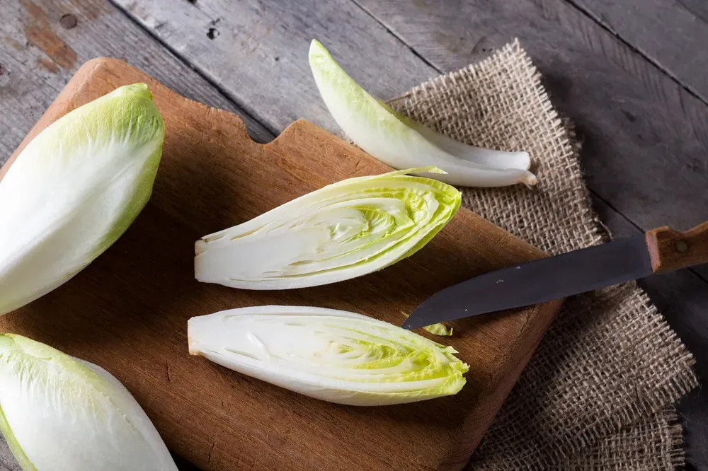 L’ENDIVE ou le légume « couteau-suisse » de l’hiver